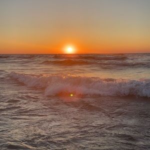 Meet your Posher, Iris